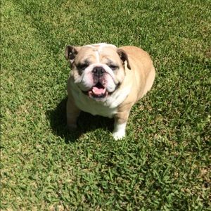 Meet your Posher, Beth